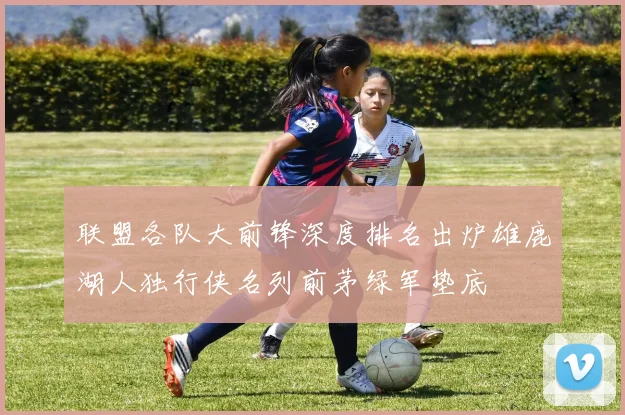 联盟各队大前锋深度排名出炉雄鹿湖人独行侠名列前茅绿军垫底