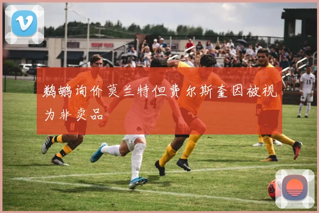 鹈鹕询价莫兰特但费尔斯奎因被视为非卖品