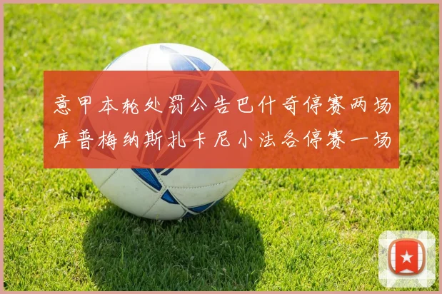 意甲本轮处罚公告巴什奇停赛两场库普梅纳斯扎卡尼小法各停赛一场