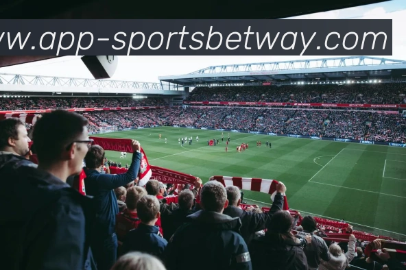 必威体育平台生态图