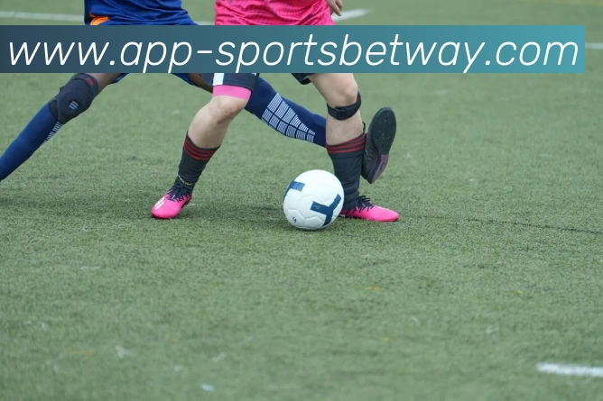 必威体育APP 封面图